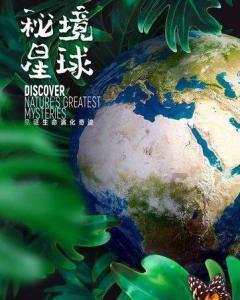 怎样系鞋带好看游戏画面